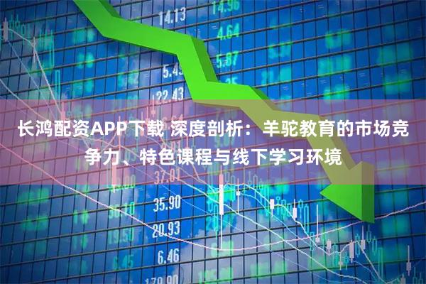 长鸿配资APP下载 深度剖析：羊驼教育的市场竞争力、特色课程与线下学习环境